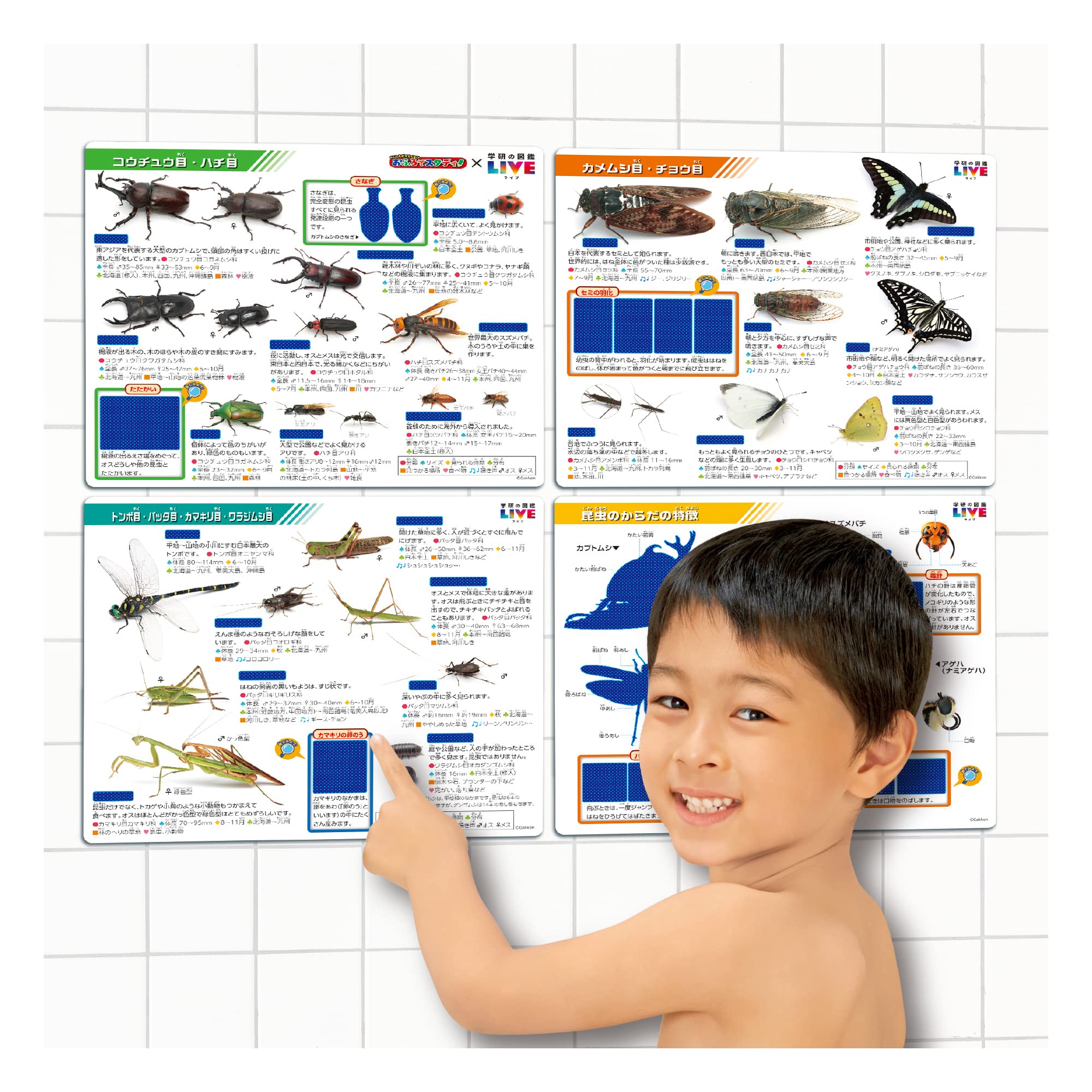 Amazon | パイロットコーポレーション(PILOT CORPORATION) こたえがで